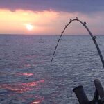10 Tips for Catching Snapper