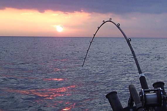10 Tips for Catching Snapper