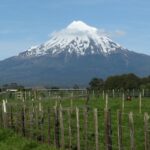 New Zealand Rural Fencing Laws