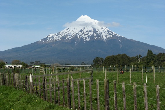 New Zealand Rural Fencing Laws